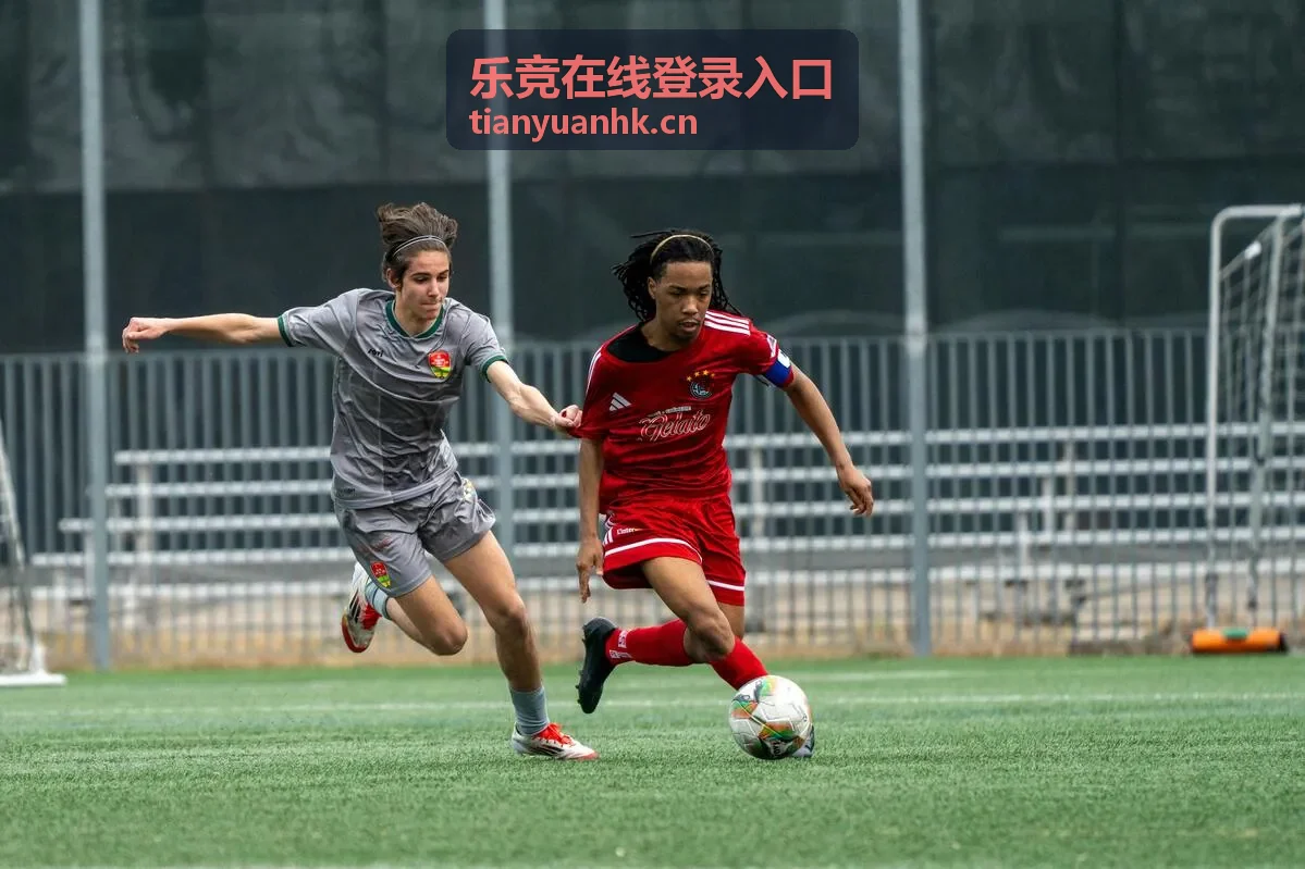 乐竞在线登录入口在手机上短时间完成登录的场景